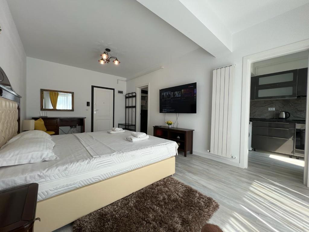 Cozy Accommodation Central City - Iasi Ngoại thất bức ảnh
