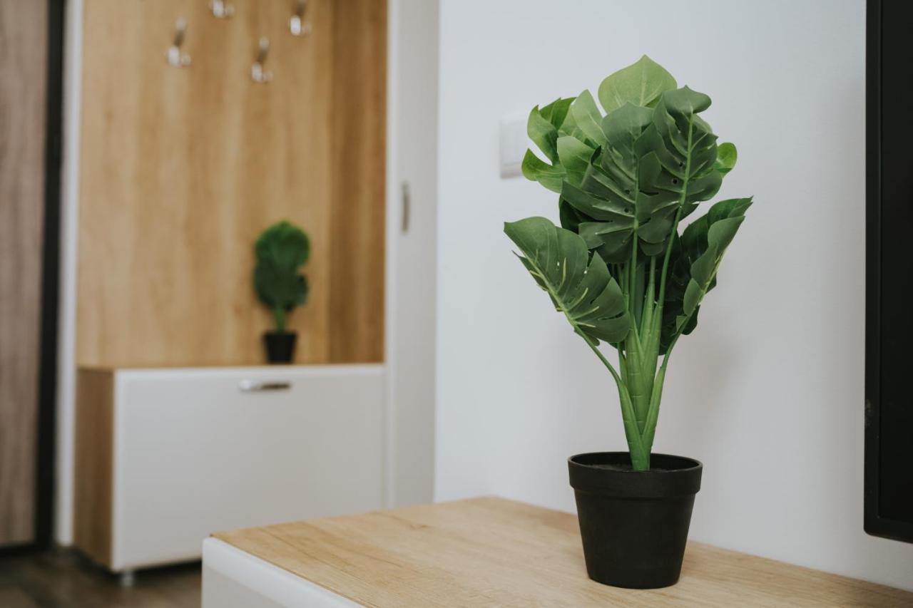Cozy Accommodation Central City - Iasi Ngoại thất bức ảnh